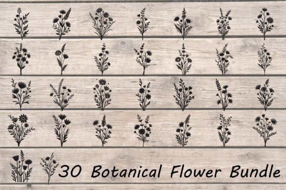 Botanical Flower SVG Bundle