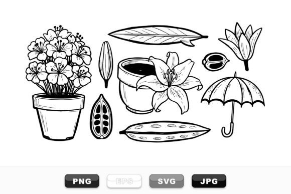 Hand Drawn Floral Sketch Set